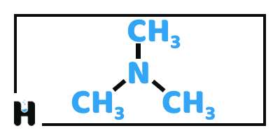 Trimethylamine